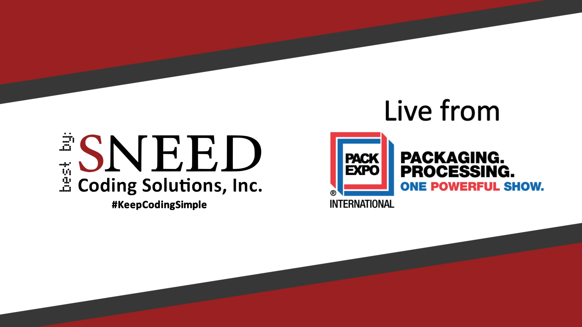 What is Sneed Coding Solutions Up to at Pack Expo?